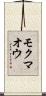 モクマオウ Scroll