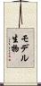 モデル生物 Scroll