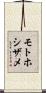 モトホシザメ Scroll