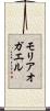 モリアオガエル Scroll