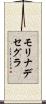 モリナデセグラ Scroll