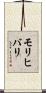 モリヒバリ Scroll