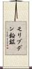 モリブデン鉛鉱 Scroll