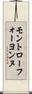 モントローフォーヨンヌ Scroll