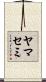 ヤマセミ Scroll