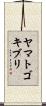 ヤマトゴキブリ Scroll