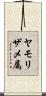 ヤモリザメ属 Scroll