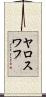 ヤロスワフ Scroll