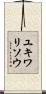 ユキワリソウ Scroll