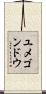 ユメゴンドウ Scroll