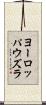 ヨーロッパウズラ Scroll