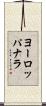 ヨーロッパナラ Scroll