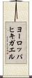 ヨーロッパヒキガエル Scroll