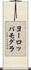 ヨーロッパモグラ Scroll