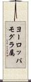 ヨーロッパモグラ属 Scroll