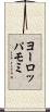 ヨーロッパモミ Scroll