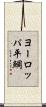 ヨーロッパ平鯛 Scroll