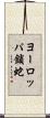 ヨーロッパ鎖蛇 Scroll