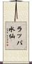 ラッパ水仙 Scroll
