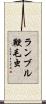 ランブル鞭毛虫 Scroll