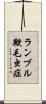 ランブル鞭毛虫症 Scroll