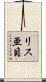 リス亜目 Scroll