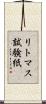 リトマス試験紙 Scroll