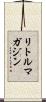 リトルマガジン Scroll