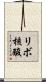 リボ核酸 Scroll