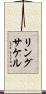 リングサケル Scroll
