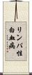 リンパ性白血病 Scroll