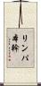 リンパ本幹 Scroll