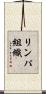 リンパ組織 Scroll