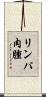 リンパ肉腫 Scroll