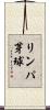 リンパ芽球 Scroll