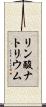 リン酸ナトリウム Scroll