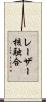 レーザー核融合 Scroll