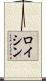 ロイシン Scroll