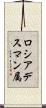 ロシアデスマン属 Scroll