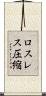 ロスレス圧縮 Scroll