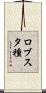 ロブスタ種 Scroll
