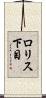 ロリス下目 Scroll