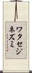 ワタセジネズミ Scroll