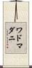 ワドマダニ Scroll