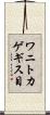 ワニトカゲギス目 Scroll