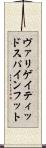 ヴァリゲイティッドスパインフット Scroll