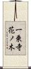 一乗寺花ノ木 Scroll