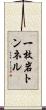 一枚岩トンネル Scroll