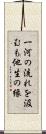 一河の流れを汲むも他生の縁 Scroll