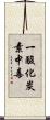 一酸化炭素中毒 Scroll